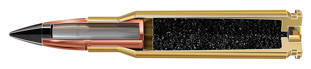 243 Winchester, 65 Grain Features