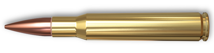 M1 Garand Features