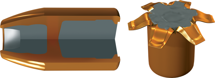Partition Gold Features