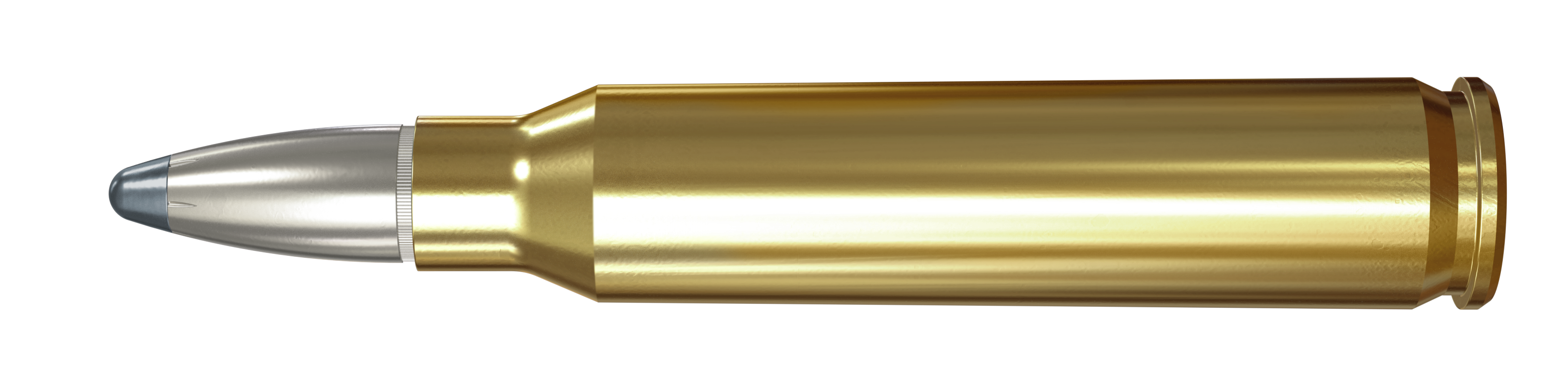 308 Winchester, 180 Grain Features
