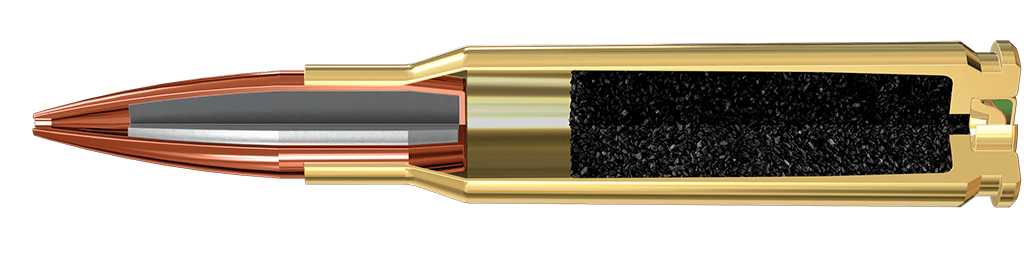 223 Remington, 69 Grain Features
