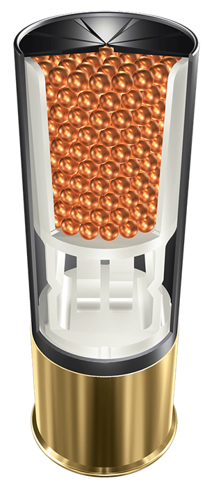 AADG12507 Illustration