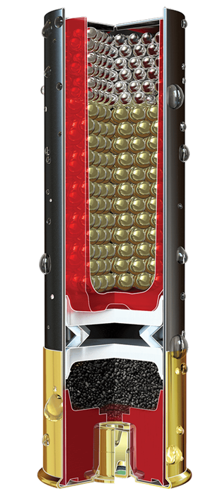 LCDS1237 Illustration