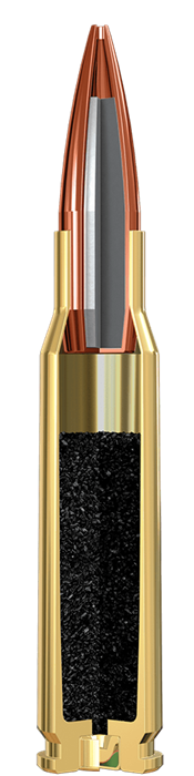 SM308 Illustration