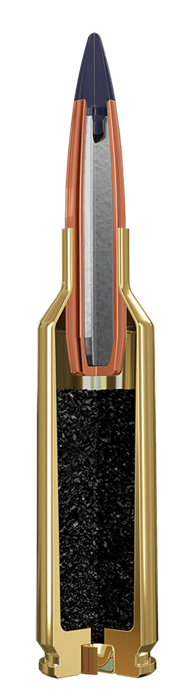 SM65CMBC Illustration
