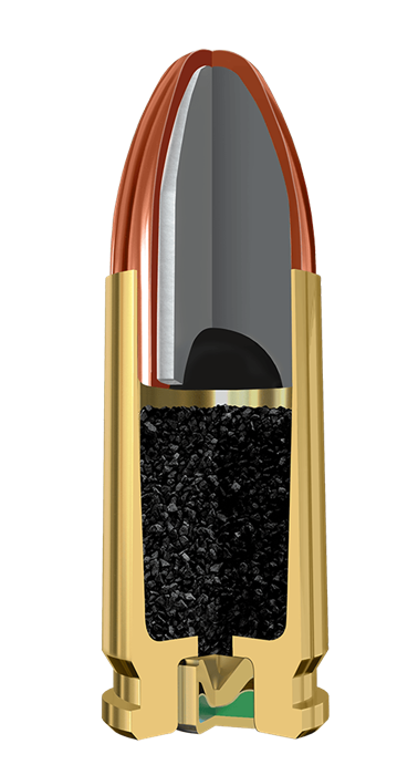 SM9RN115 Illustration